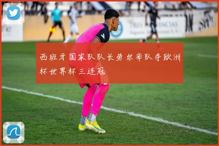 西班牙国家队队长劳尔率队夺欧洲杯世界杯三连冠