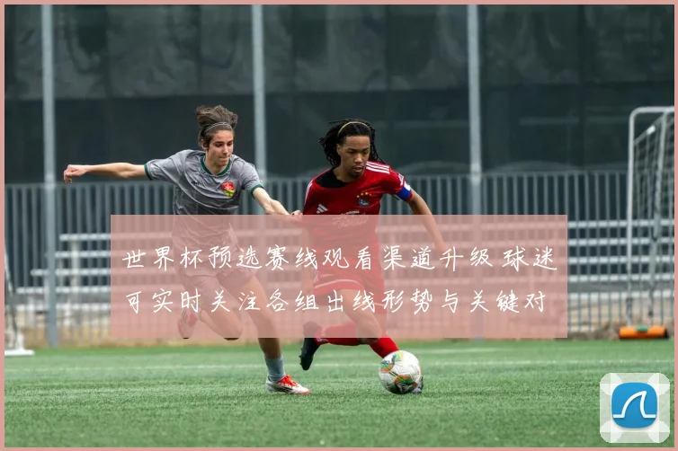 世界杯预选赛线观看渠道升级 球迷可实时关注各组出线形势与关键对决