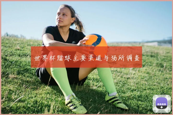 世界杯赌球主要渠道与场所调查