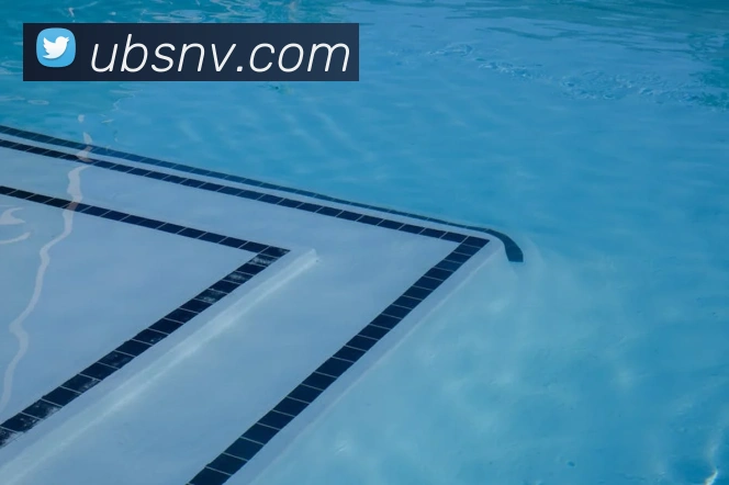 App Interface Preview